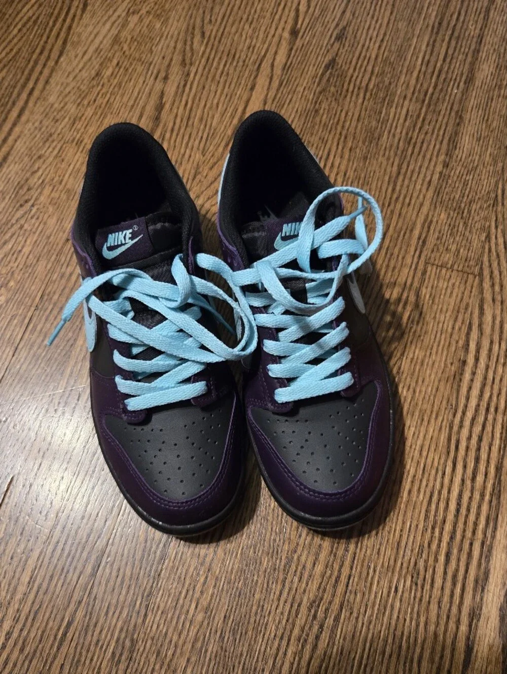 Nike Dunk Low Purple with Light Blue Accents